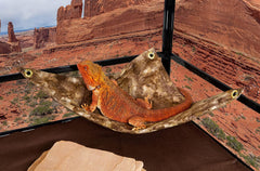 Hammock for Bearded Dragons, Brown Batik Fabric with Suction Cup Hooks