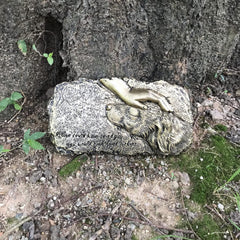 Garden Stepping Stone, Dog Pet Memorial Stones, Loss of Pet Gift - 10 inch L x 5.6 inch W x 1 inch D, Bronze