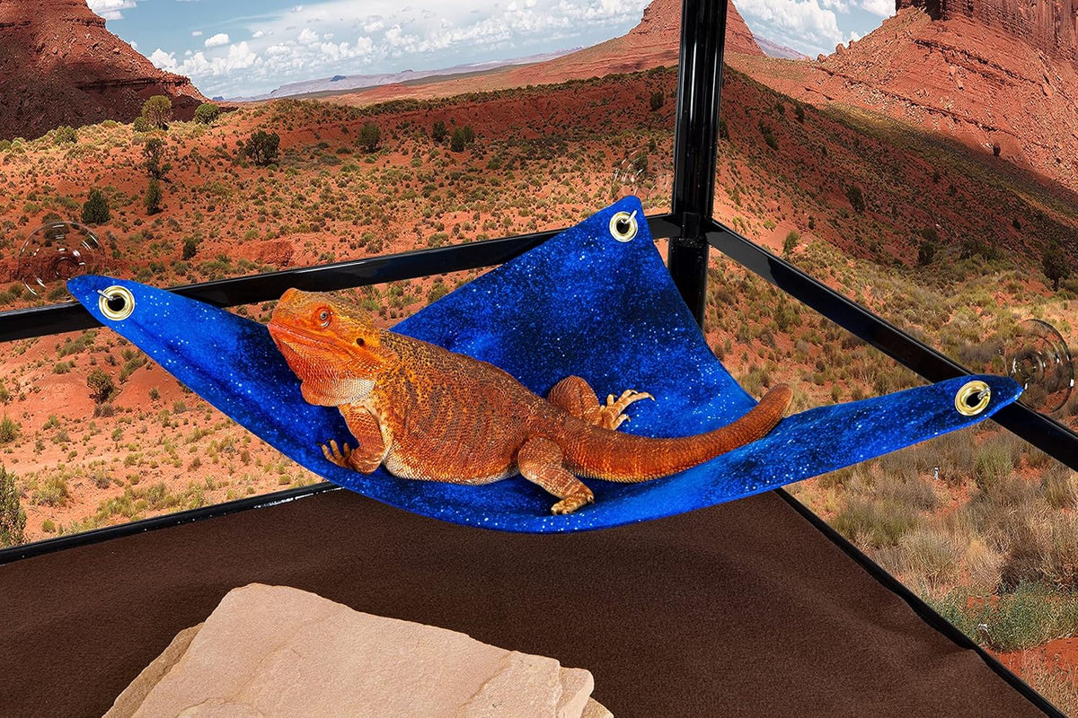 Hammock for Bearded Dragons, Starry Night fabric with suction cup hooks
