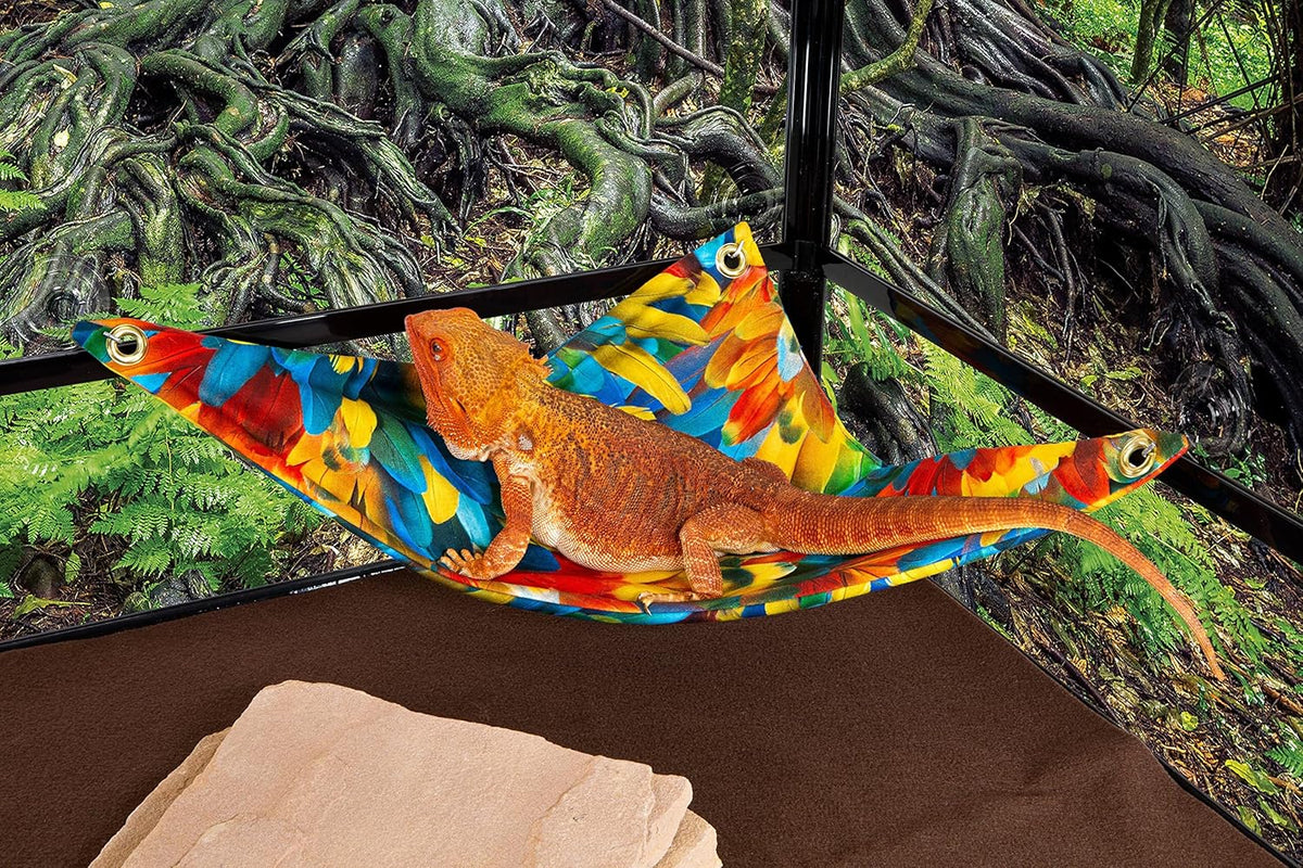 Hammock for Bearded Dragons, Parrot Feathers Fabric with Suction Cup Hooks